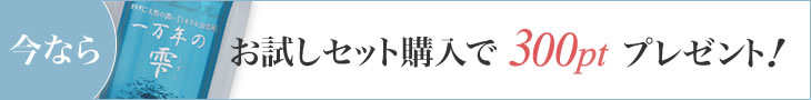 お試しセット購入で、300ptプレゼント!