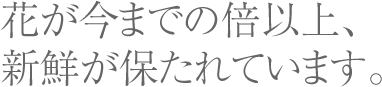 花が今までの倍以上、新鮮が保たれています。